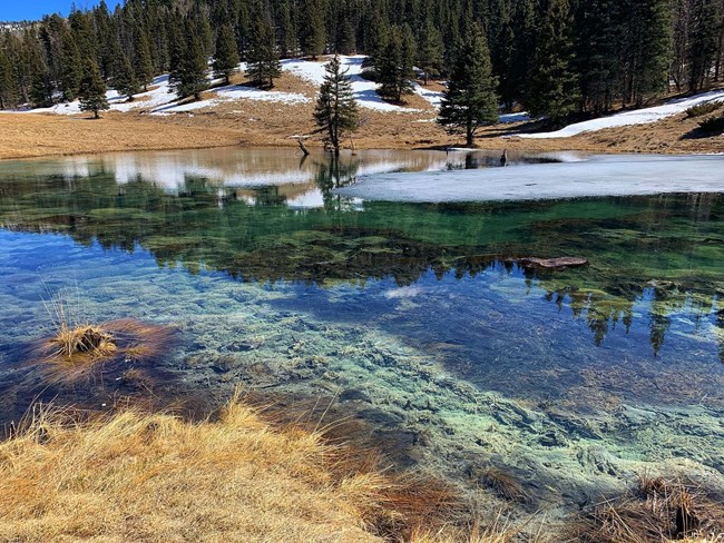 A pond with crystal-clear, blue-green water and small clumps of algae floating in it.
