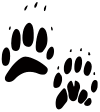 Black badger tracks on a white background.