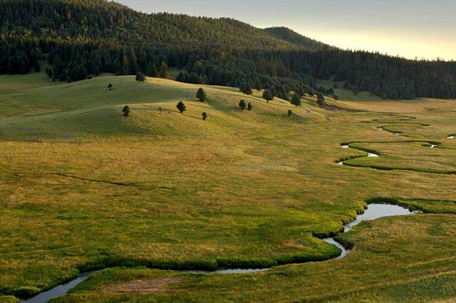 A narrow stream meanders across a grassy meadow.