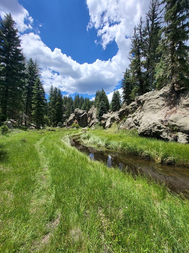 A narrow stream meanders through a valley with rock spires and evergreen trees.