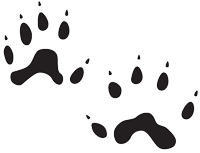 Black weasel tracks on a white background.