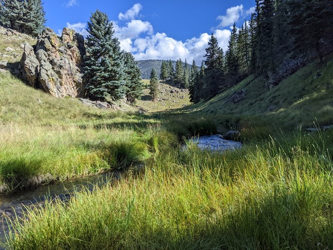 A narrow stream meanders through a montane canyon