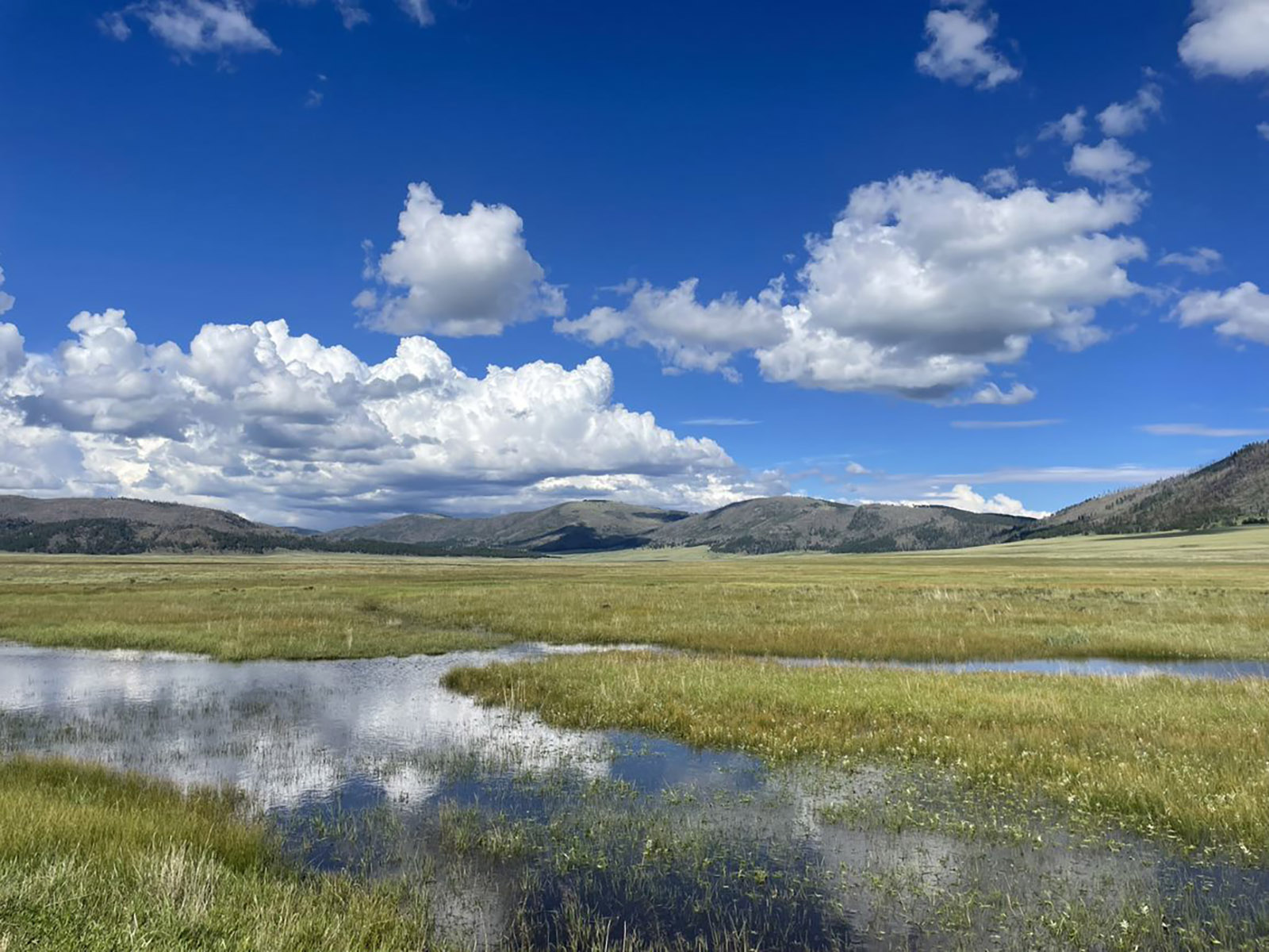 Green and wet Valle Grande Water meandering through a lush, green, wide-open grassland.