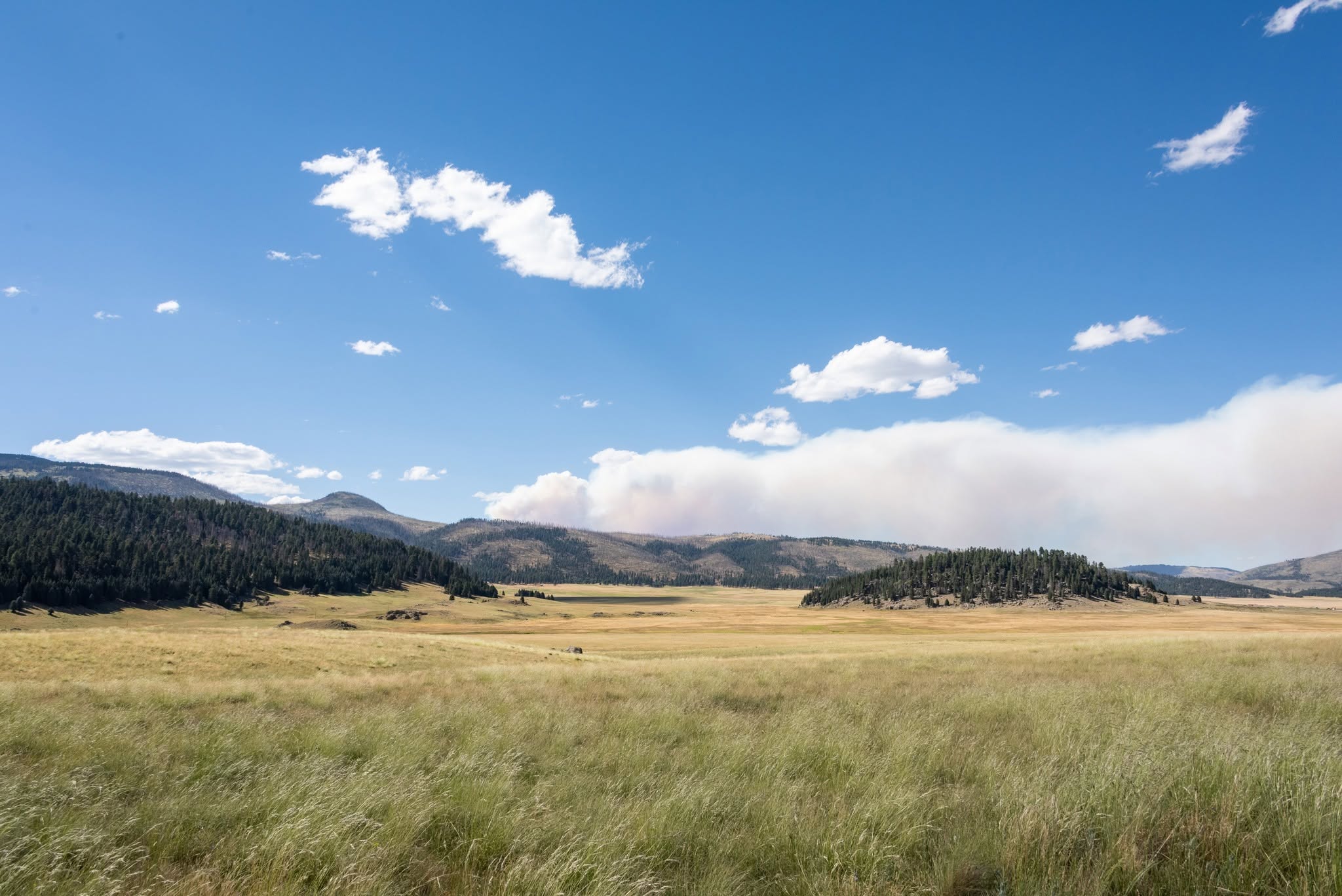 A wide grassy valley stretches toward distant forested hills under a clear blue sky, with a long plume of light-colored smoke rising along the horizon.
