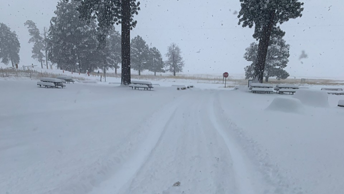 Snow in the park, November 4, 2024