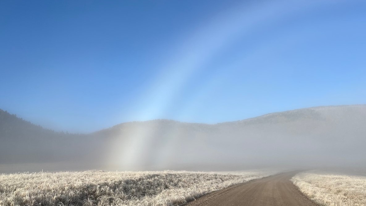 Fogbow on a frosty morning Fogbow on a frosty morning