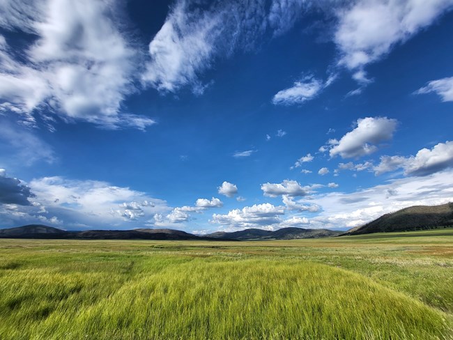 Valle Grande on a sunny summer day