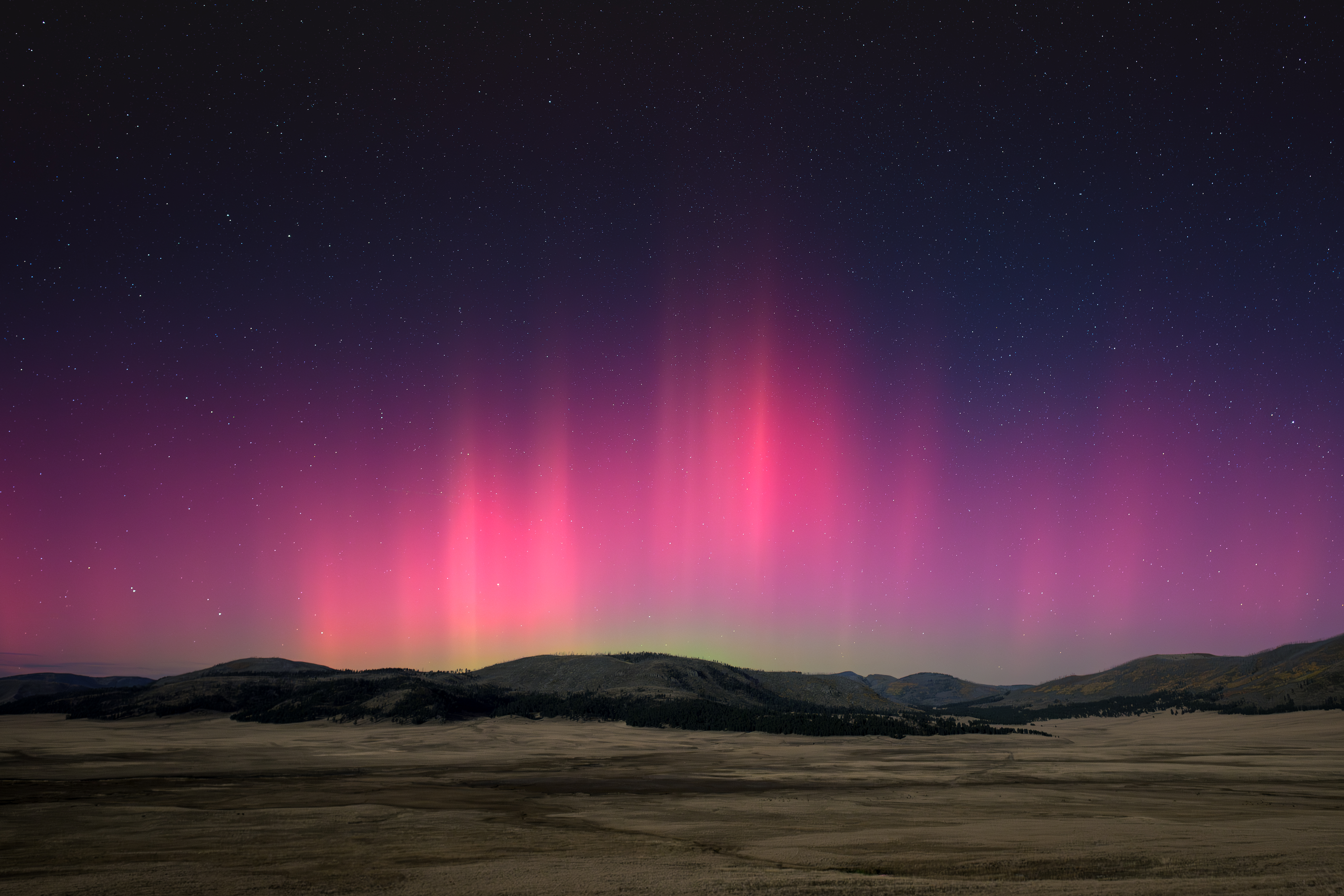Pink, purple, and green pillars of light illuminate the night sky over a grassland.