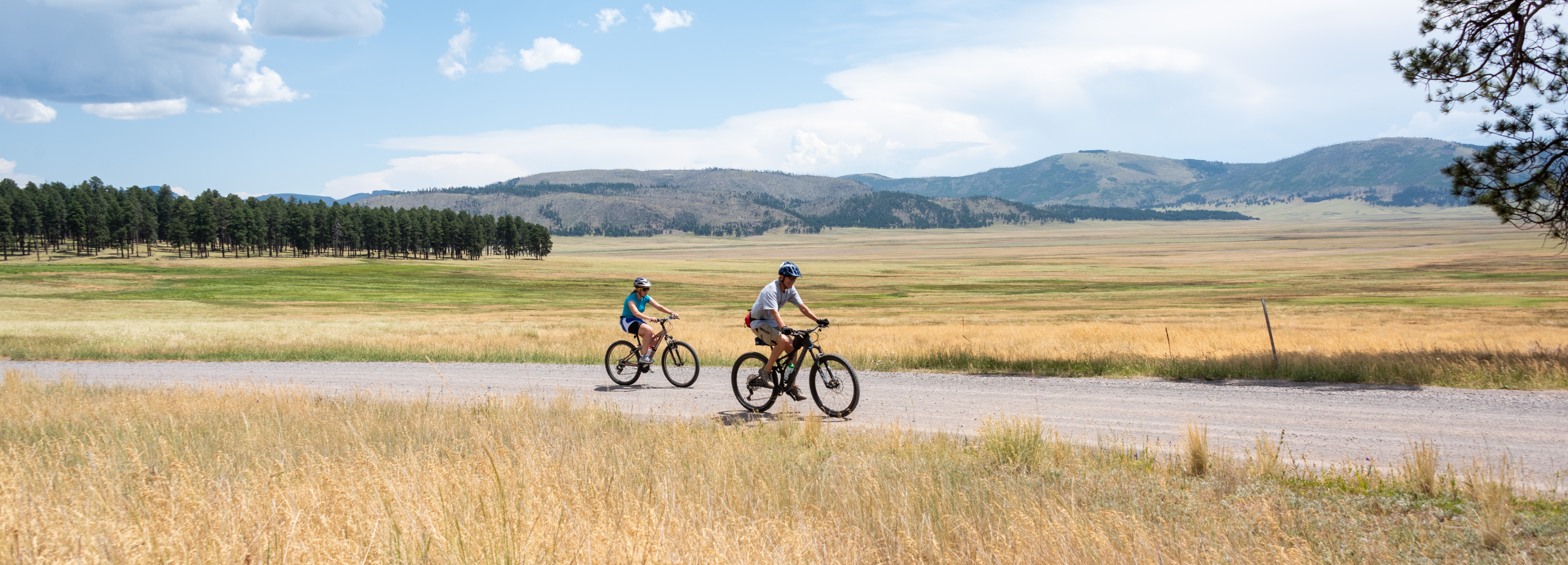 Two cyclists ride on a gravel road through a montane grassland.