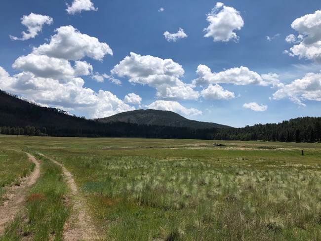 A large grassy meadow under a blue cloudy sky. The remnants of a long forgotten dirt road disappear to the left. Forested hills line the horizon.