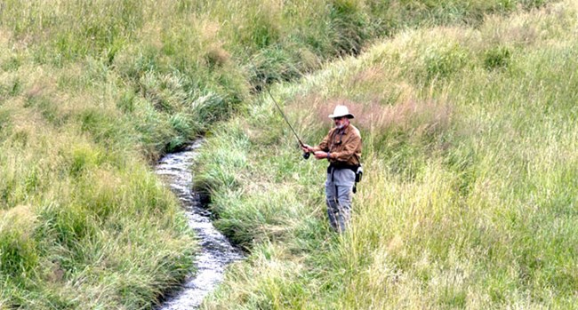 Man fishes from the grass covered bank of a narrow stream. Man fishes from the grass covered bank of a narrow stream.