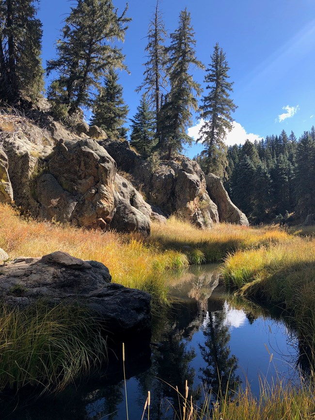 A tranquil river reflects the image of a blue sky. It is surrounded by tall grass a rocky and a rocky outcrop to the left supports tall pine trees.