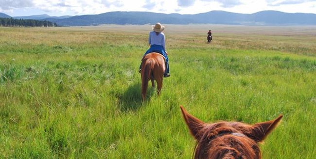 Three horses and riders cross a grass covered plain with mountains in the distance. Three horses and riders cross a grass covered plain with mountains in the distance.