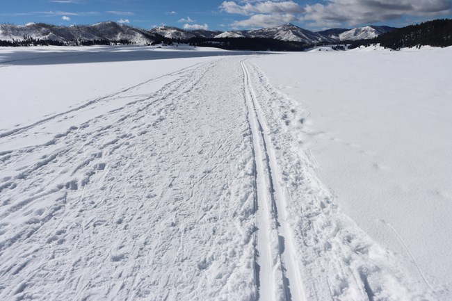 A groomed trail in the snow with a ski track and a snowshoe lane.