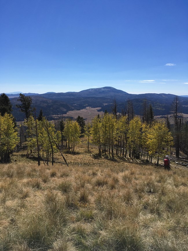 A grand view from atop a grassy hillside. Yellow aspens are downhill. A long valley with a single road extends into the distance under a blue sky. Forested mountains frame the valley.