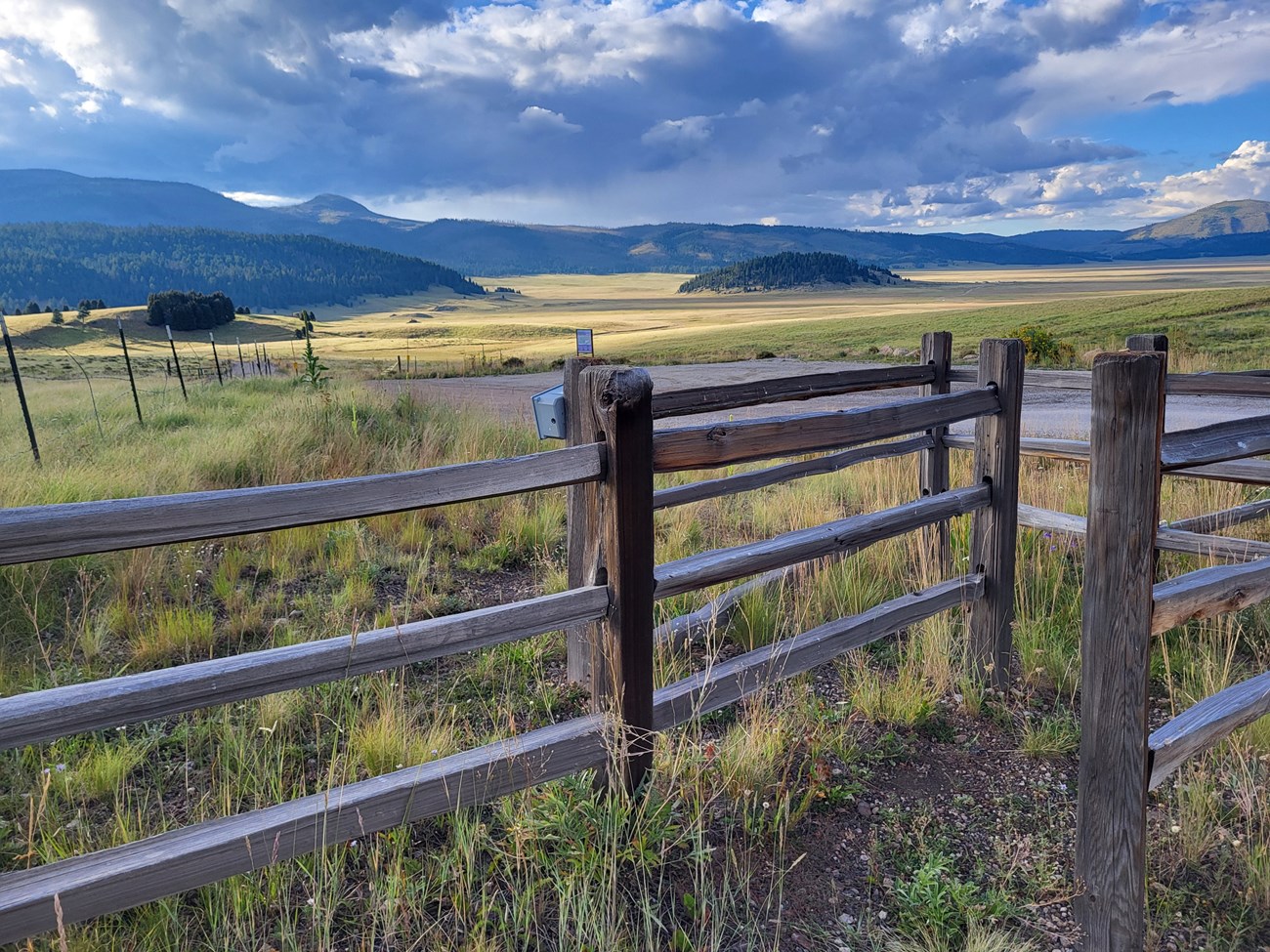 A wooden pedestrian gate leading into a montane grassland.