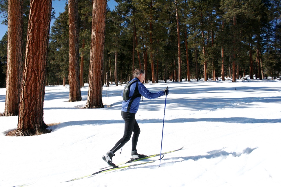 Buy > snow pants for cross country skiing > in stock