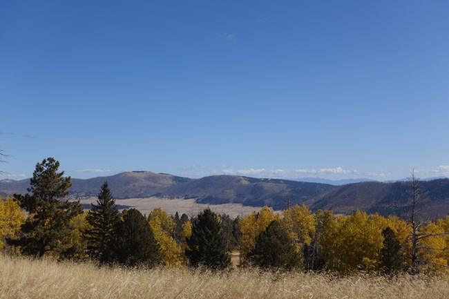 A mix of pine and yellow leafed aspen trees grow just beyond a grassy slope. Beyond, an extensive valley is defined by mountains in the distance.