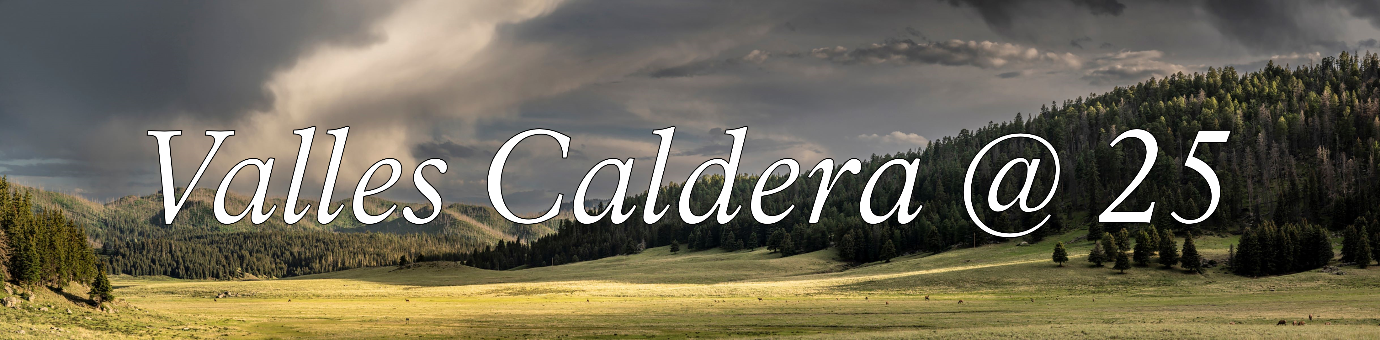 A panoramic photograph of a vivid green montane grassland. Overlain text reads "Valles Caldera @ 25."