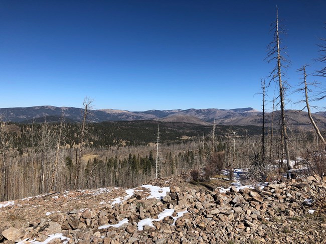 The view from a rocky ridge with some small scatterings of snow. A clear blue sky with a line of mountains in the far distance. Forested slopes roll into the distance.