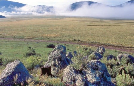 Shrubs and Volcanic rocks in foreground; fog shrouded mountains in the distance