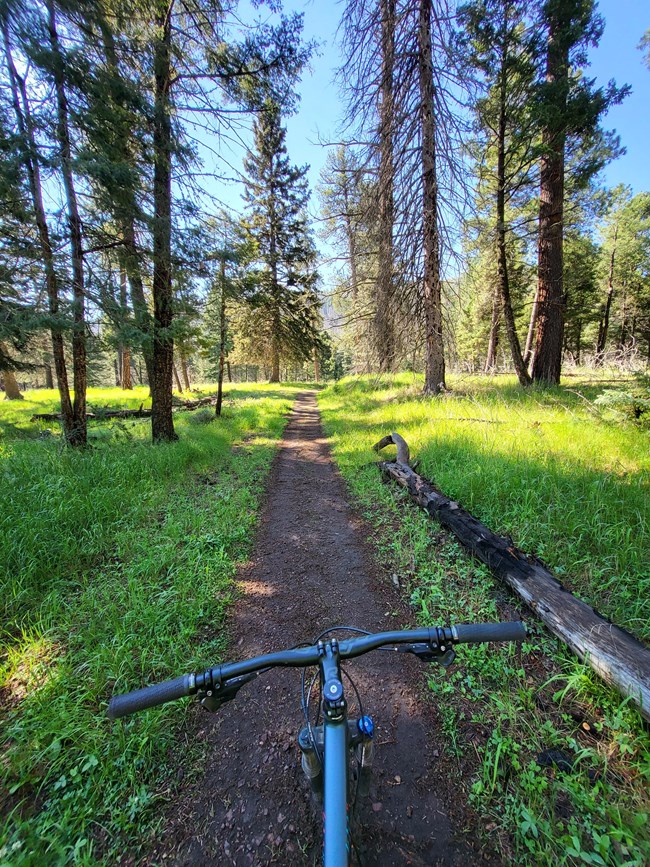 Sitting on a mountain bike on a dirt path in the woods