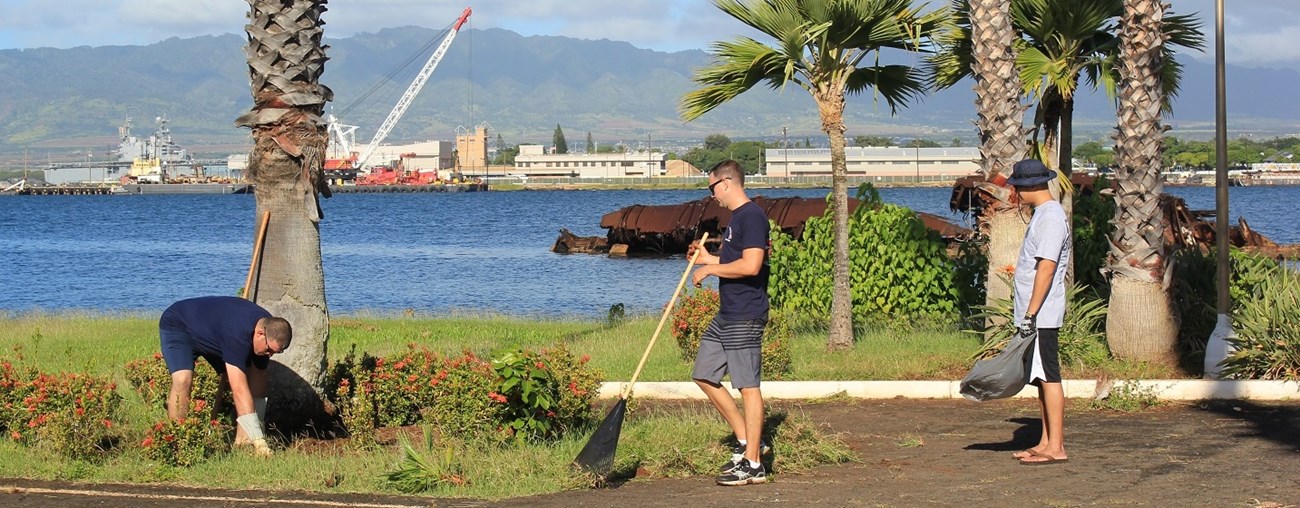 Three young men in tee shirts and shorts work on lush landscaping against the bay background.