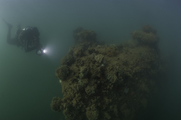 Underwater at the USS Arizona - Pearl Harbor National Memorial (U.S