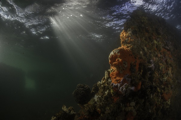 Scavenger Hunt List >> Underwater at the USS Arizona - World War II Valor in the ... Scavenger Hunt List >> Underwater at the USS Arizona - World War II Valor in the ...