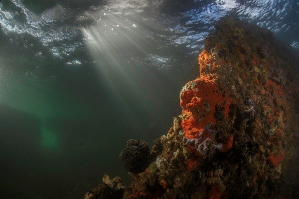 Sunlight shining down on the USS Arizona.