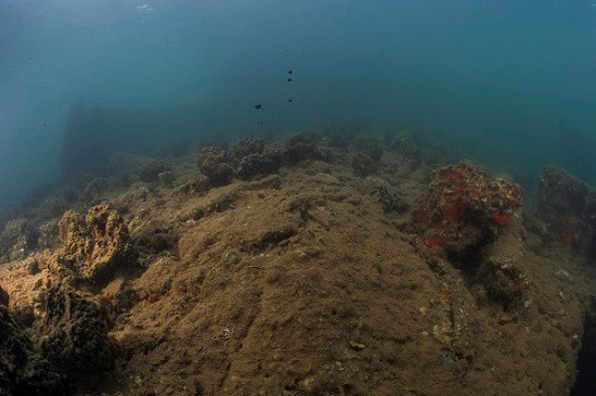 Oil leaking from the USS Arizona.