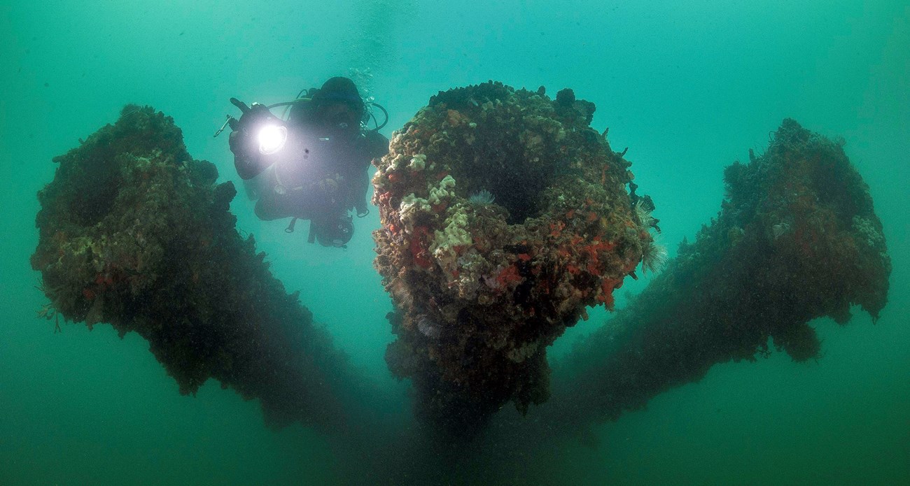 A National Park Service diver at the USS Arizona