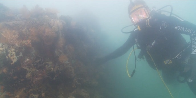 AN NPS diver underwater at the stern of the USS Arizona AN NPS diver underwater at the stern of the USS Arizona