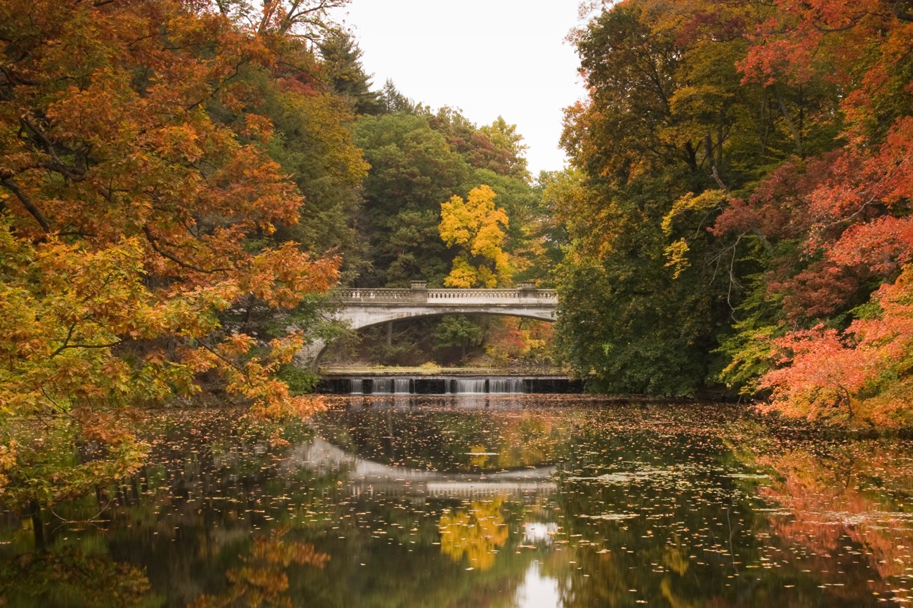 A white stone bridge expands over a creek surrounded by autumn trees.
