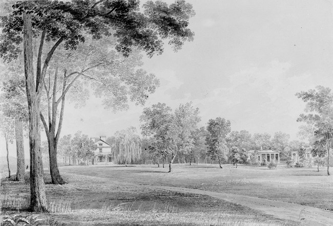 Sketch of a landscape with trees and houses.