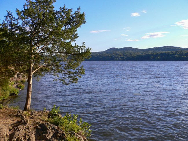 A rocky shore with trees along a wide river.