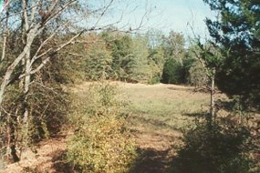 Davis Plantation/Ellison House - National Military (U.S. National Park