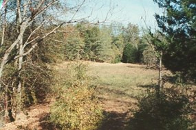 Davis Plantation Site, Champion Hill Battlefield