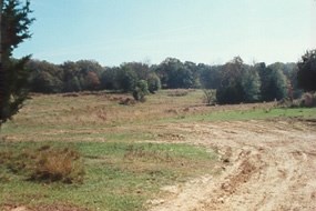 Ellison House Site, Champion Hill Battlefield