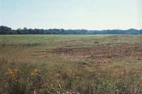 Open Country Between Port Gibson and Raymond