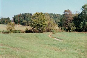 Present-Day Fourteen Mile Creek