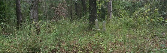 Isaac Roberts Family Cemetery Near Site of Pemberton's Second Headquarters, Champion Hill Battlefield