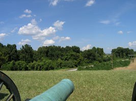 Overlooking the Southern Railroad of Mississippi Tracks