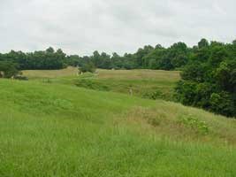 Looking down Graveyard Road from Stockade Redan toward Tour Stop 5