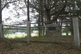 Battle Champion Hill (May 16) - Vicksburg National Military Park (U.S. National Service)