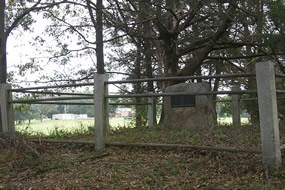 Battle of Champion Hill (May - Vicksburg National Park (U.S. National Park Service)