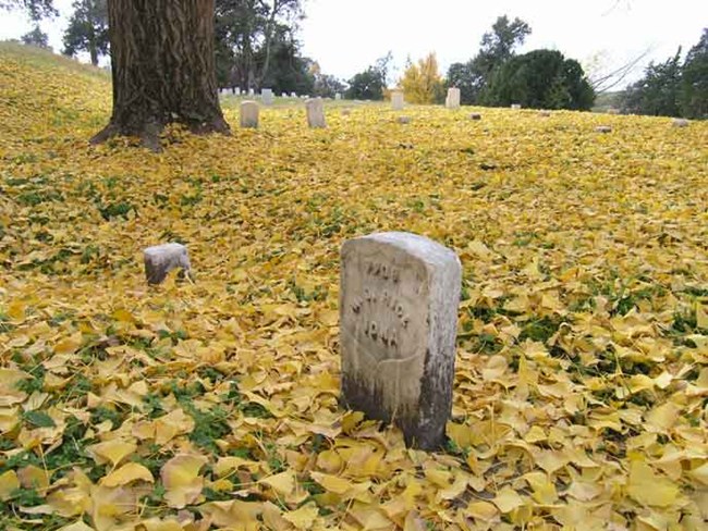 Yellow Gingko leaves lay around a soldier's headstone in the national cemetery.