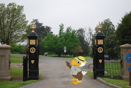 Abe visits the National Cemetery. Abe visits the National Cemetery.