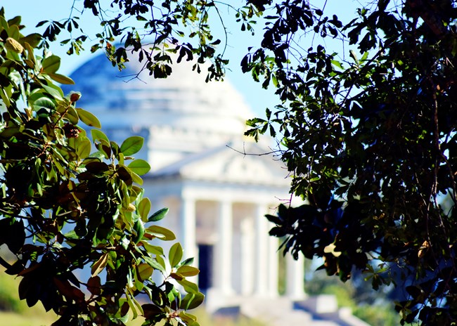 Trees frame the Illinois Monument in the distance