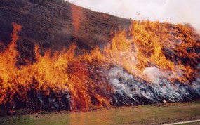 Prescribed Burning, Fort Hill